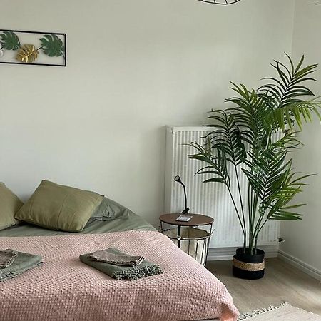 Studio T A 5Mn Euro Airport Avec Terrasse سا لووي المظهر الخارجي الصورة
